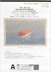 img412.jpg