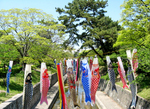 35th-shukugawa.jpg
